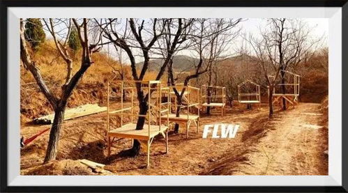 2021年青青部落國慶戶外營 | 探秘木工鋸的無限可能